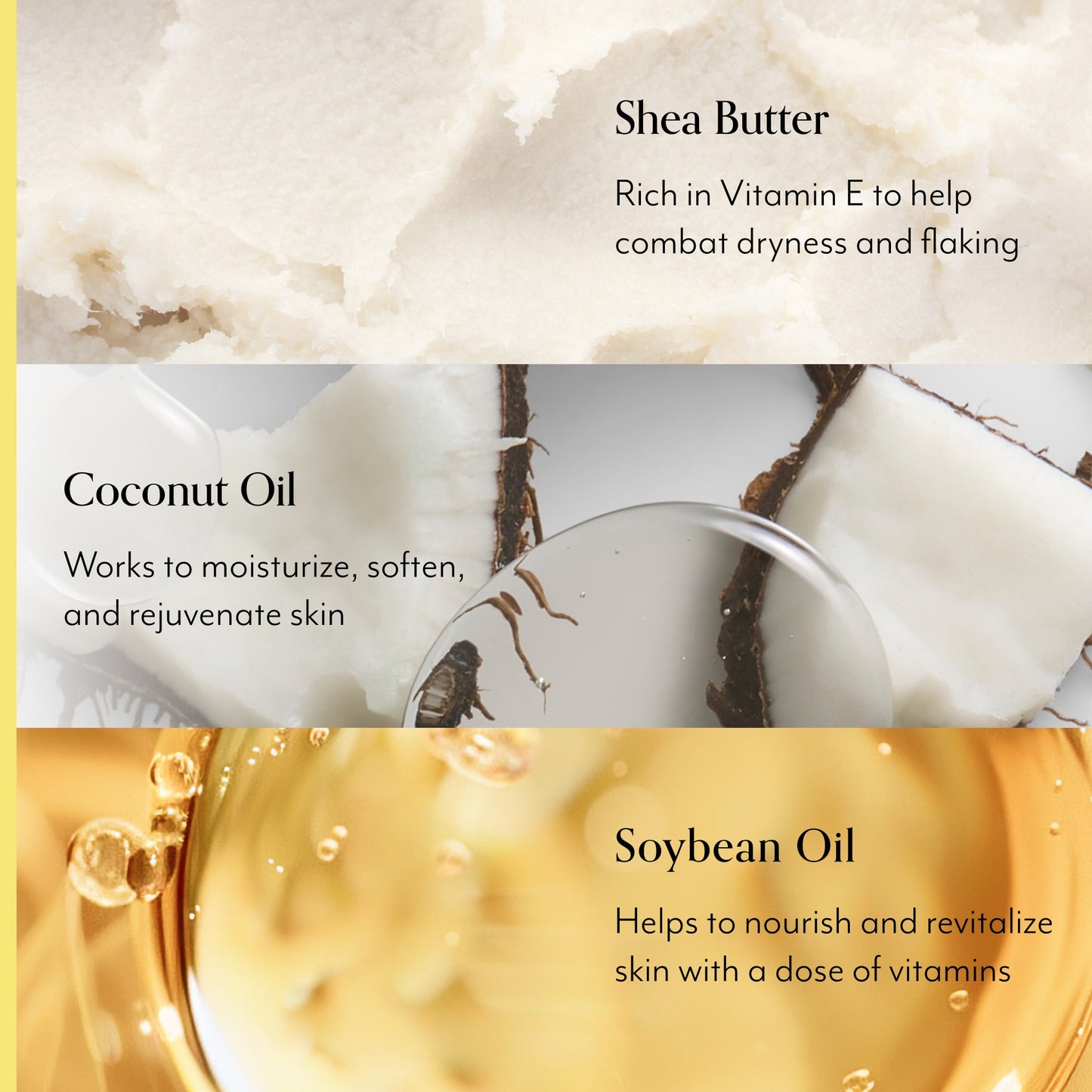 lemon and sage body butter - key ingredients