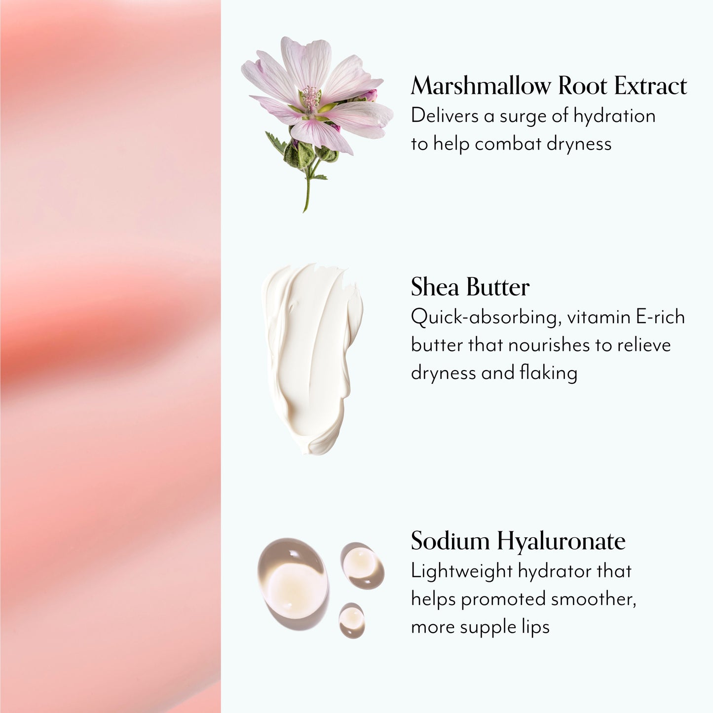 Mighty Marshmallow Hydrating Lip Mask - ingredients