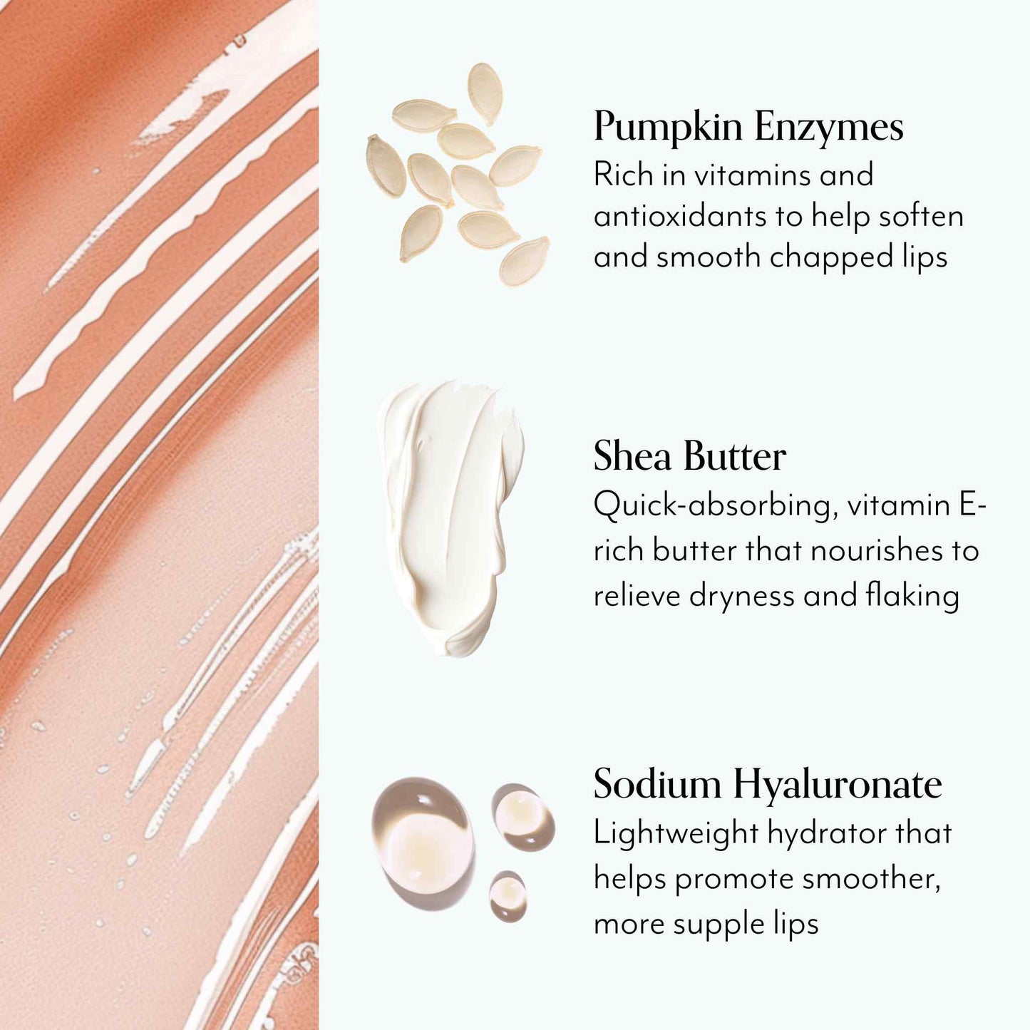 Pumpkin Powerhouse Soothing & Exfoliating Lip Mask - Ingredients