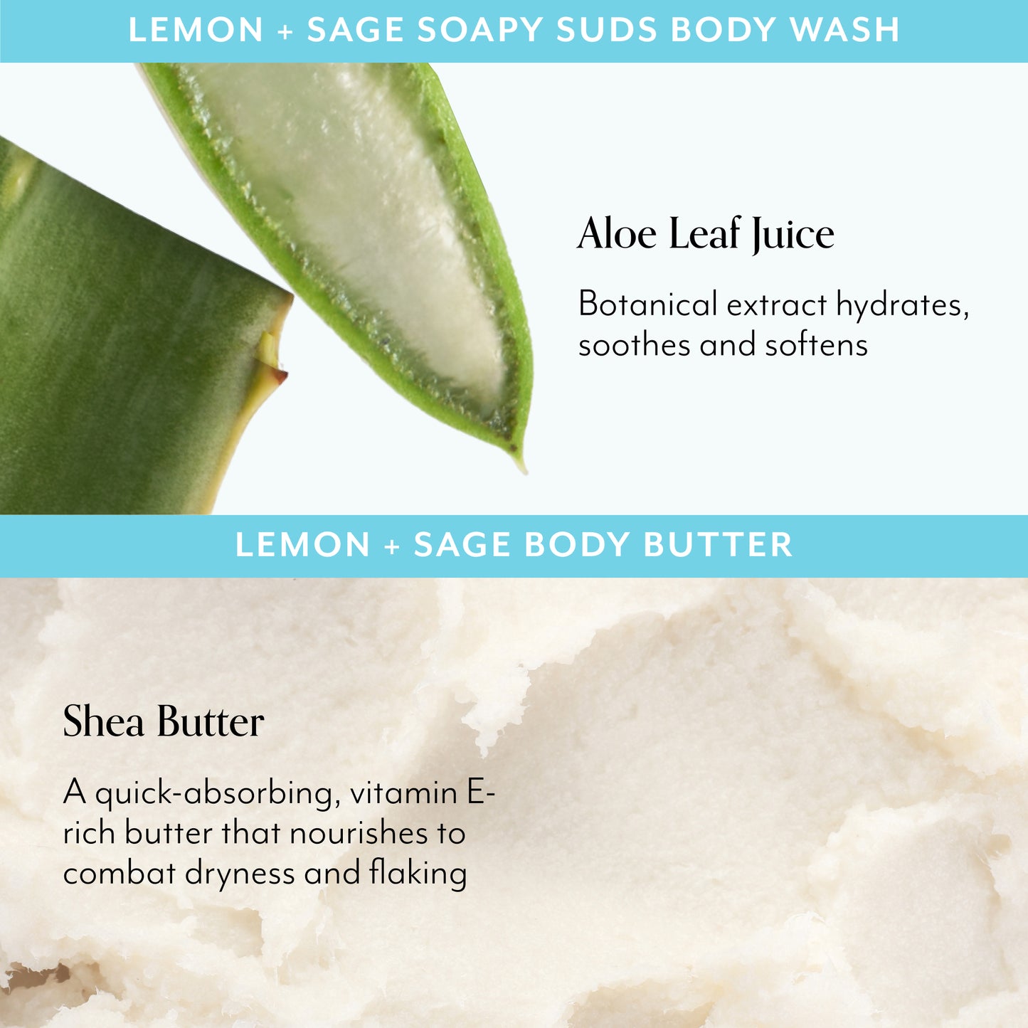 head to toe essentials kit - lemon and sage benefits