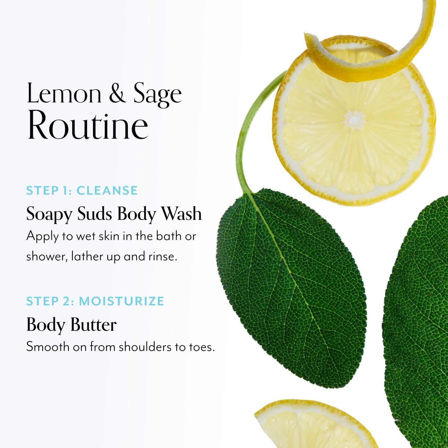 head to toe essentials kit - lemon and sage how to use