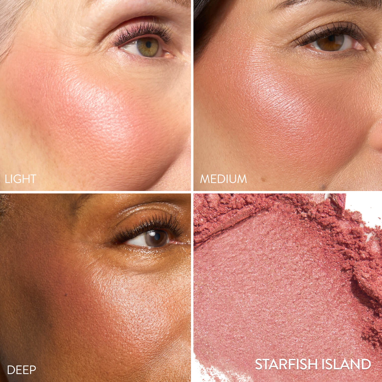 Blush-n-Brighten Model Grid in starfish island