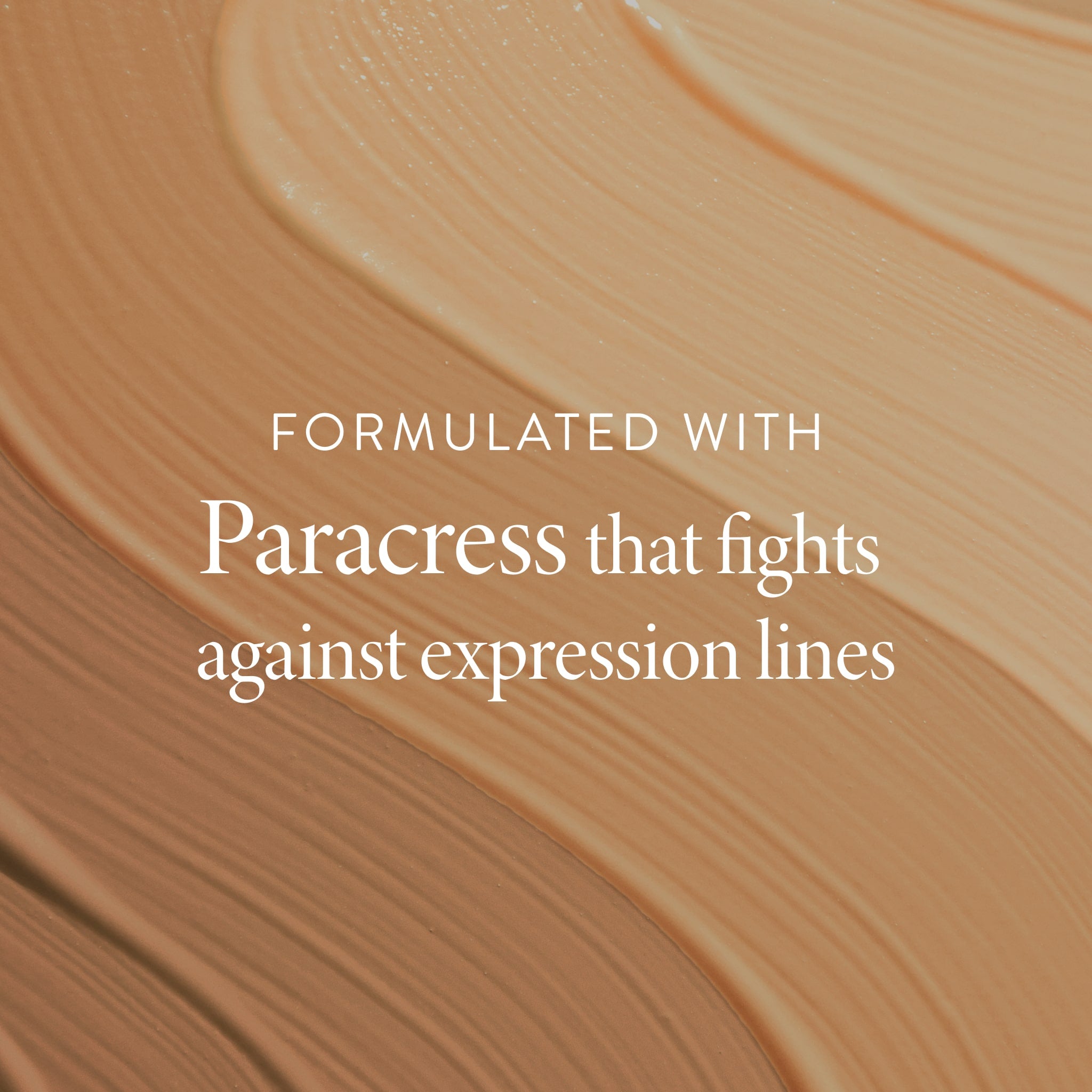 A single green leaf against a white background.