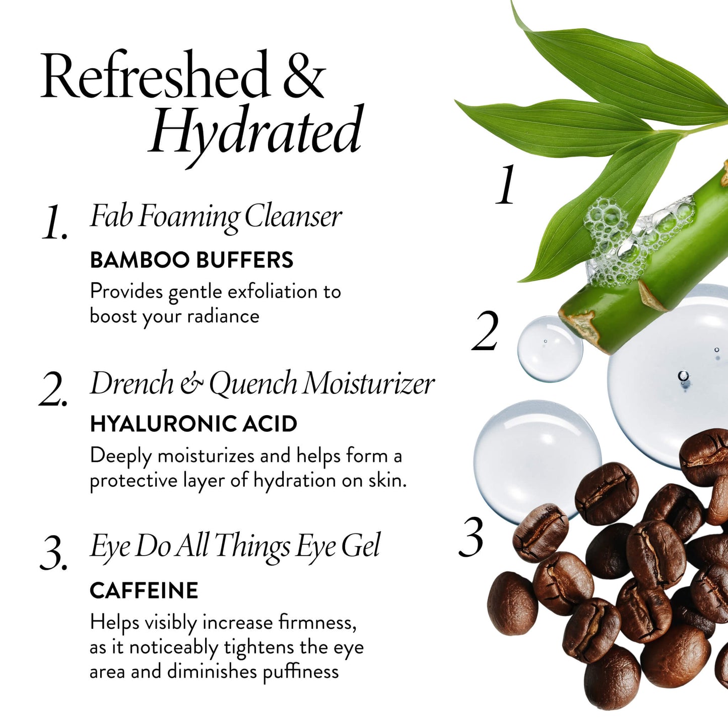 The Daily Essentials Kit key ingredients