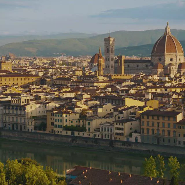 videowise-widget-673615fb5c8e170028769231-7710208852029