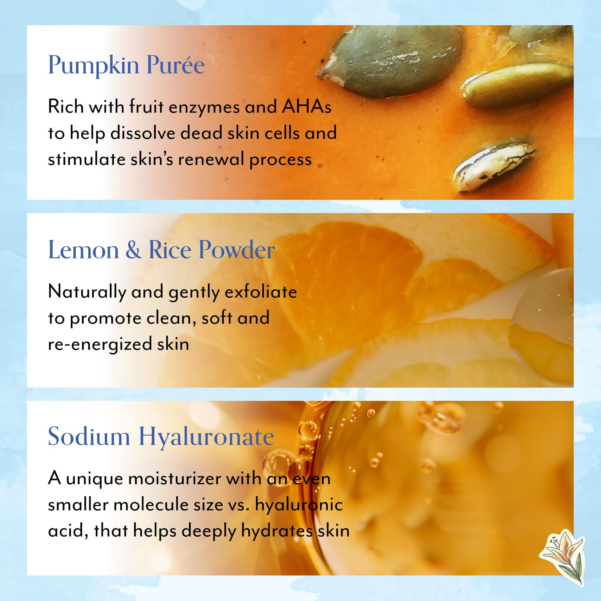Bliss x Gilmore Girls Pumpkin Powerhouse Resurfacing & Exfoliating Mask + Spa Headband - Key Ingredients