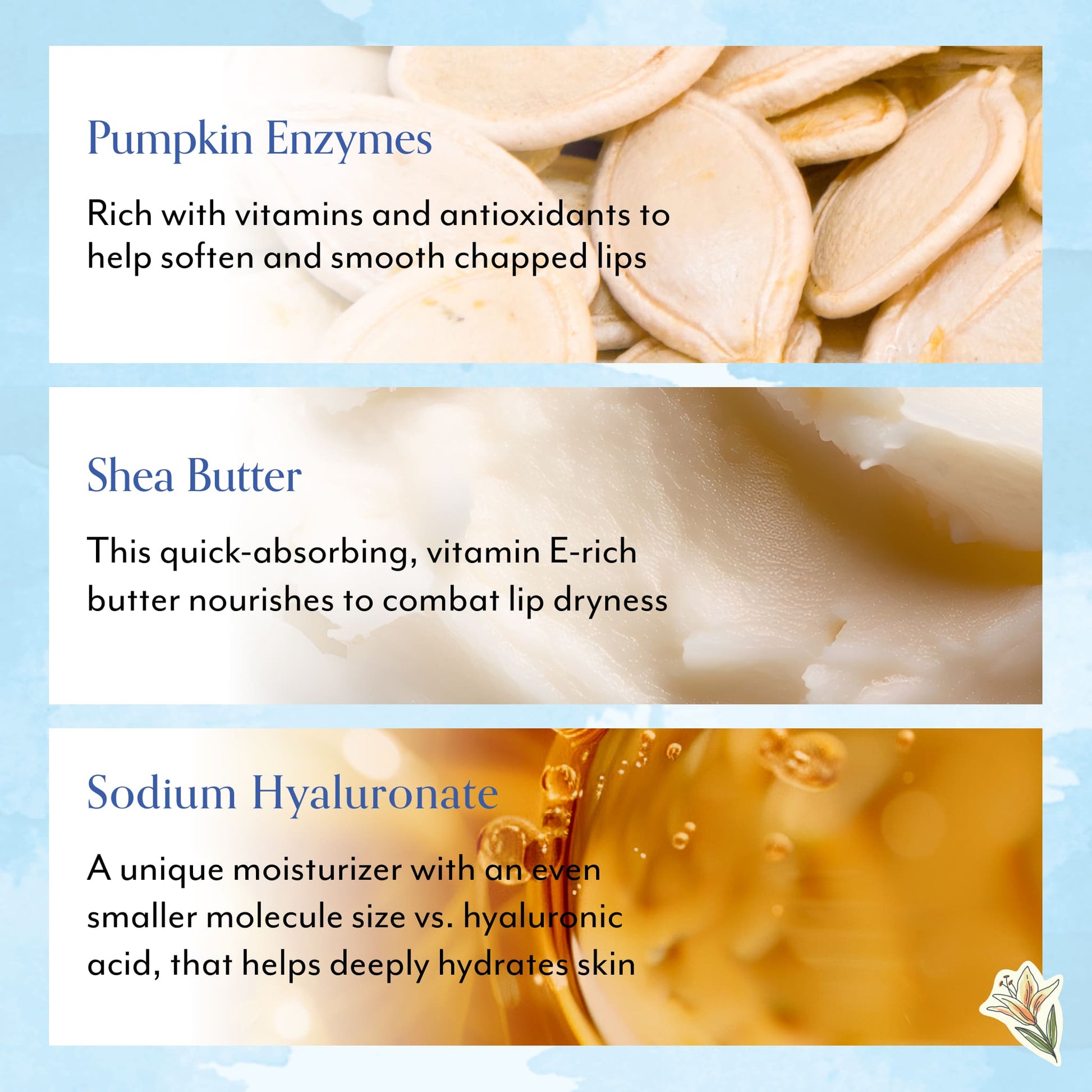 Bliss x Gilmore Girls Pumpkin Powerhouse Soothing & Exfoliating Lip Mask - Key Ingredients