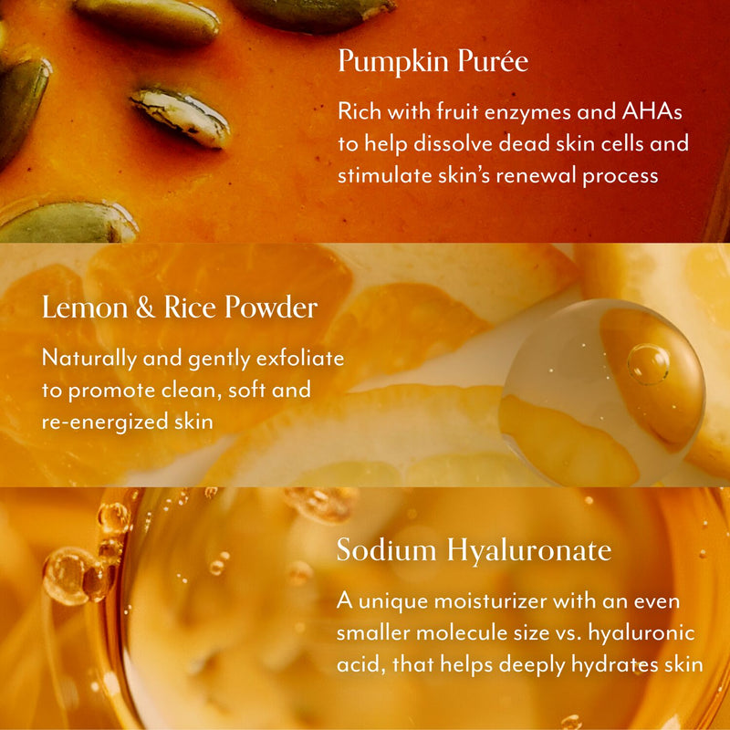 pumpkin powerhouse key ingredients