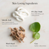 Block Star Clarifying Mineral Sunscreen SPF 30 key ingredients 