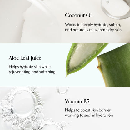 Lemon & Sage Luscious Hand Wash with Aloe Key Ingredients