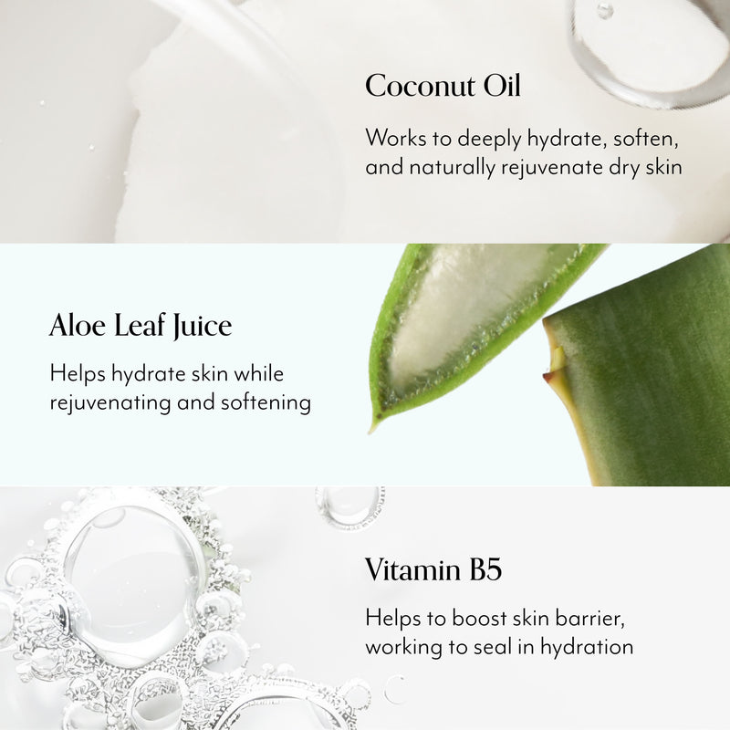 Lemon & Sage Luscious Hand Wash with Aloe Key Ingredients