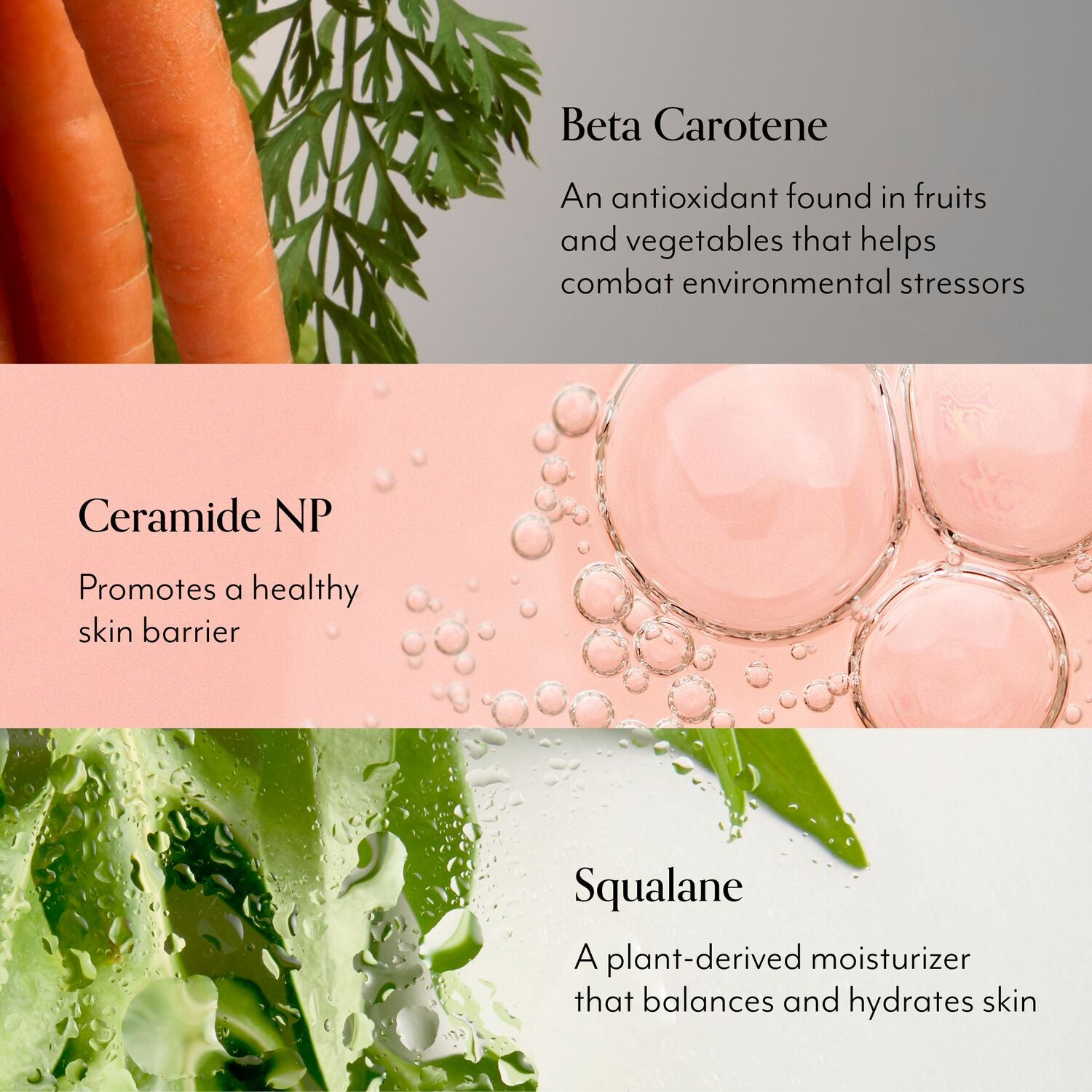 Mighty Biome Skin Barrier key ingredients 