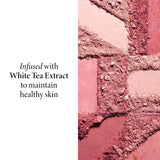 Blush-n-Brighten Travel Size - ingredients