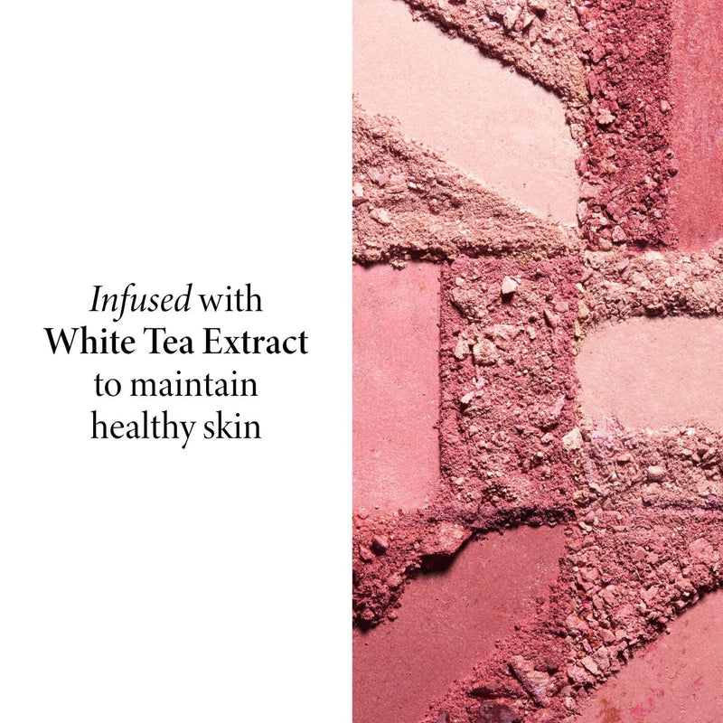 Blush-n-Brighten Travel Size - ingredients