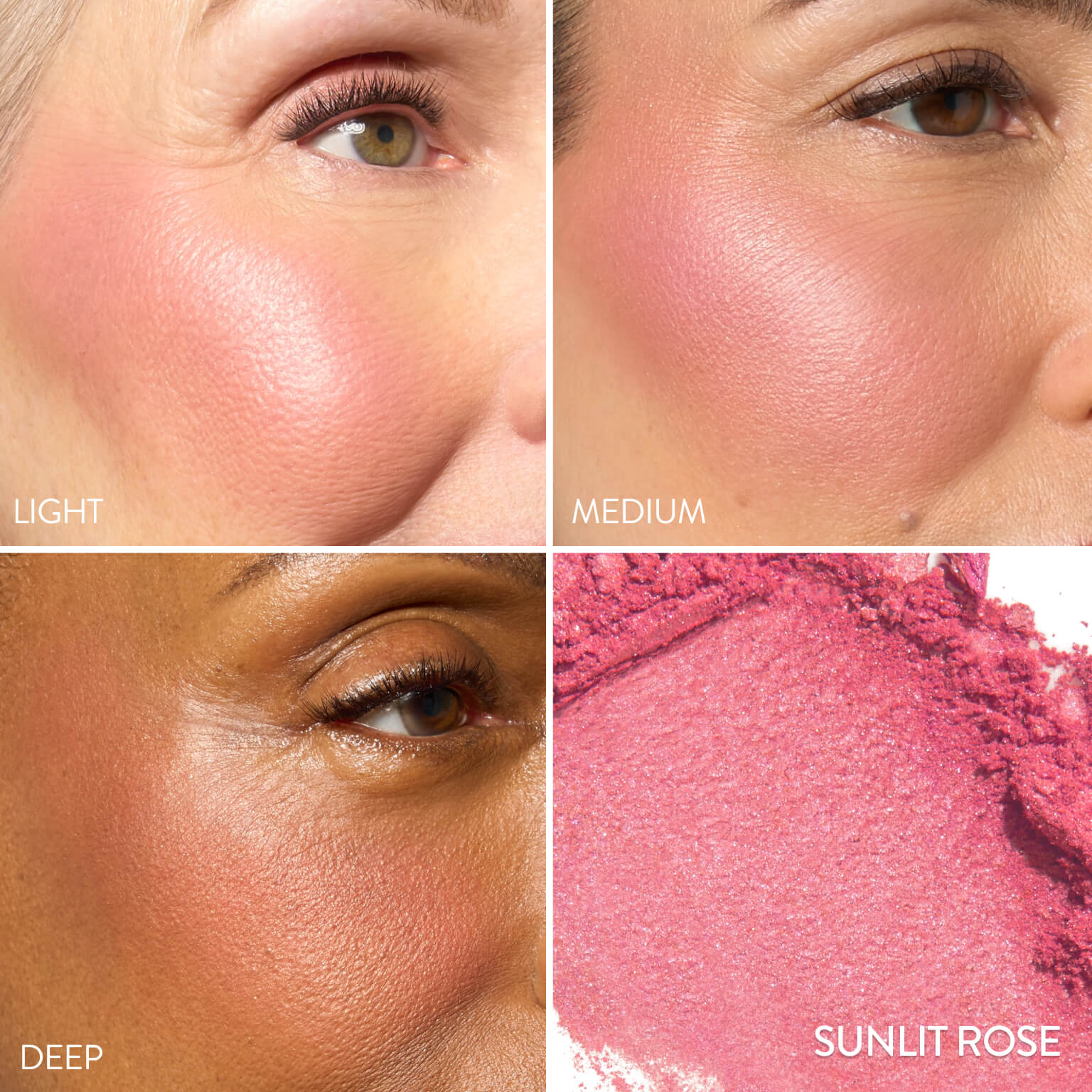 Blush-n-Brighten Model Grid in sunlit rose