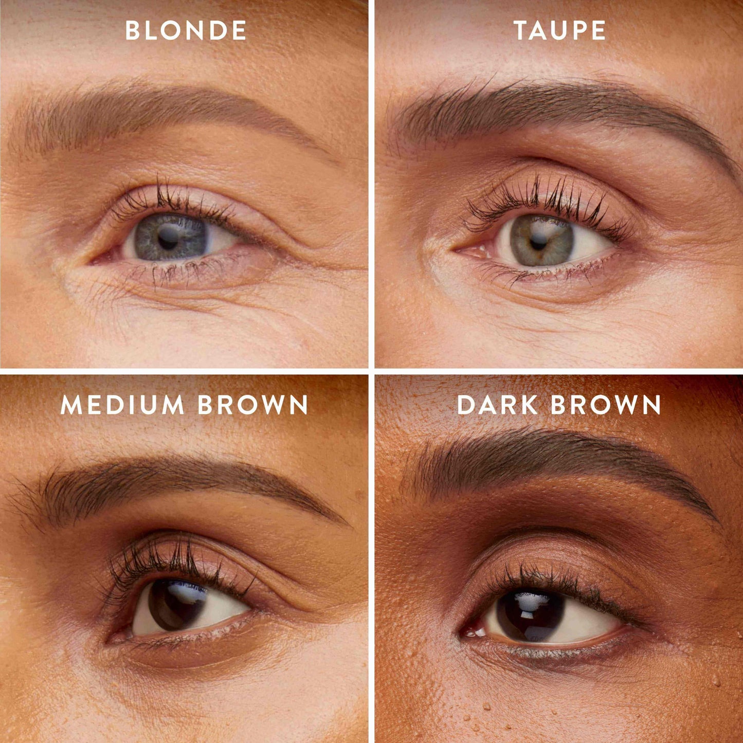 Bravo Brows 4 grid