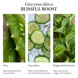 Spackle Mist Boost with Lemon & Sage key ingredients